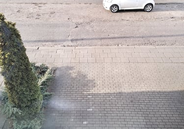 nemokamas parkingas