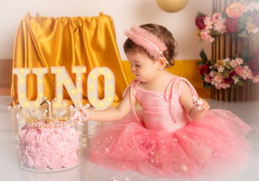 a little girl in a pink tutututututututututu