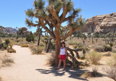 Joshua Tree National Park
