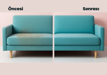 Terraura Yerinde Koltuk Yıkama Buhar Uygulama Antalya