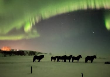 Aurora borealis or Northern Lights near Selfoss, Iceland