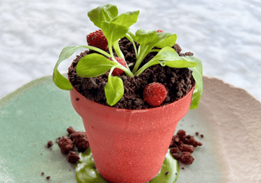 a dessert  that looks like a flower pot