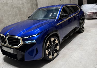 تفاصيل حماية الطلاء الفاخرة