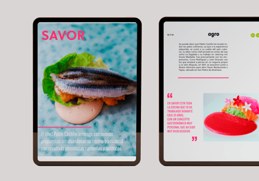 Revista interactiva Agro magazine