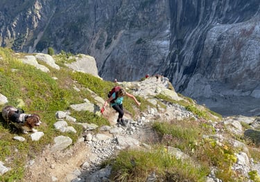 argentier glacier walk, chamonix, France
