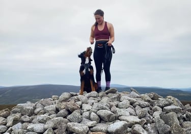 Murphy the Bernedoodle out for a mountain walk while pet sitting him