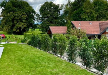 <img src="gazon-haie-sevrier.jpg" alt="Création de pelouse et plantation de haie par paysagiste à Sé