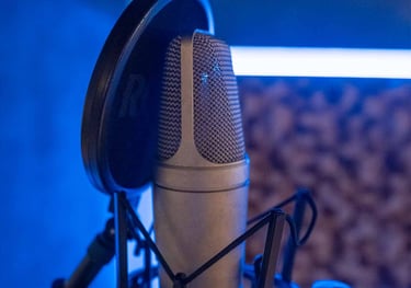 micrófono condensador producción y grabación monochrome records