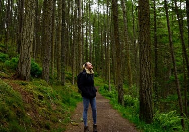 Coach Moll in a forest looking up at the trees