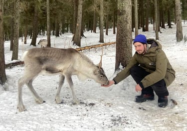 rencontrer les rennes