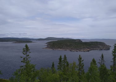 Högbonden