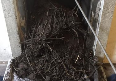 A Chimney with a birds nest half way removed