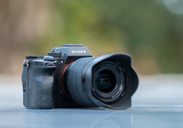 Sony Alpha camera & zoom lens for wildlife safari available on rent for Central Indian national parks