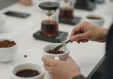 A modern coffee cupping session with professional equipment and samples of roasted beans, highlighting the quality control process.