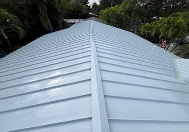 metal roof soft washing broward county fl 