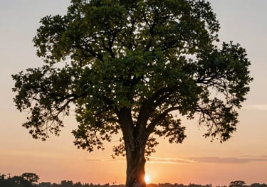 white concrete building during daytime