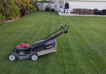 تنسيق حدائق بالرياض مؤسسة فردوس النسيم