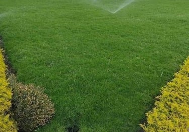 تنسيق حدائق بالقصيم مؤسسة فردوس النسيم