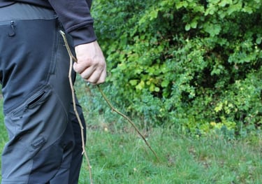 Pendules en bois