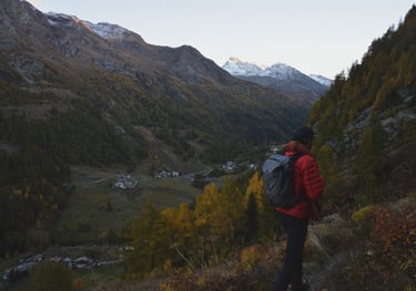 FOLIAGE IN THE AOSTA VALLEY