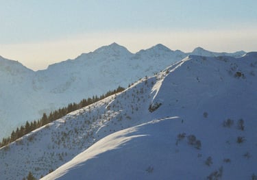 SNOWSHOE HIKE IN OASI ZEGNA