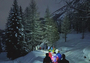 GUIDED SNOWSHOE HIKE
