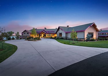 Luxury home exterior featuring purple holiday roofline lighting and a wide concrete driveway at dusk.