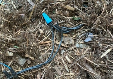 Low voltage outdoor landscape lighting wires with blue waterproof wire nut connector on wood mulch.