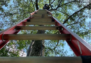 landscape lighting installer on extension ladder