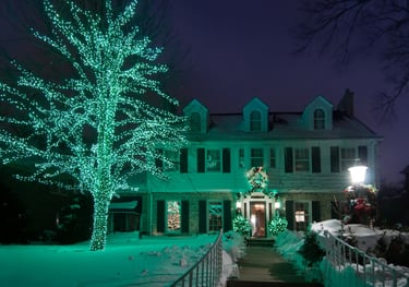Christmas lights on tree in front yard in monument Colorado