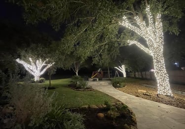 mini led Christmas Lights Tree Wrap installed in Julington Creek