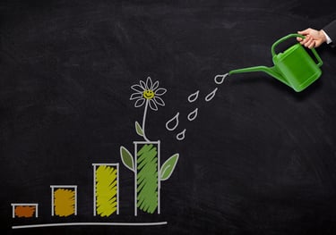 illustration of flowers being watered