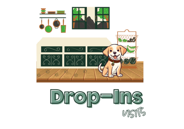 Illustration for Julia's Pet Pals drop-in visits in Boston, featuring a happy dog in a cozy kitchen with the text 'Drop-Ins'