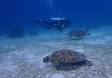 Bautismos de buceo
