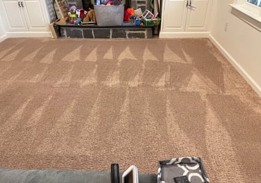 dry organic carpet cleaning Philadelphia,  king of Prussia