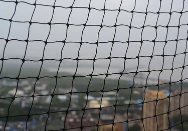 Black Net