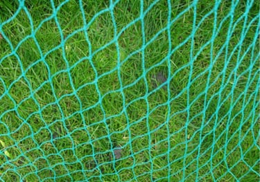 green net