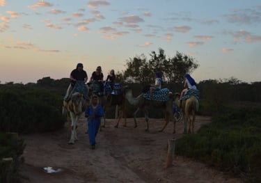 CAMEL RIDE IN AGADIR BY DAR SOUSS LOISIR