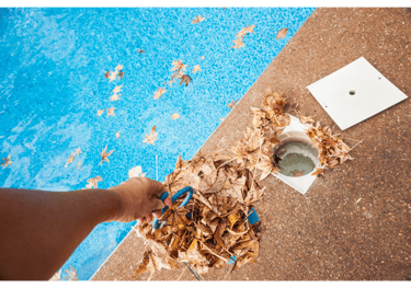 A pool tech is clearing leaves and debris from the pool equipment