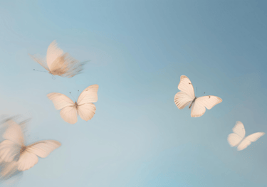 farfalle bianche che volano nel cielo