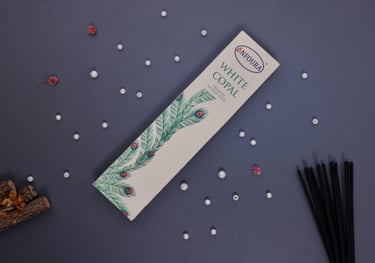 Authentic Masala Sticks supplier in India