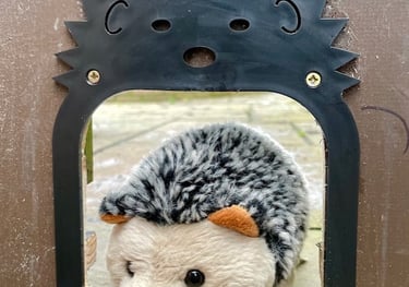 Hedgehog highway