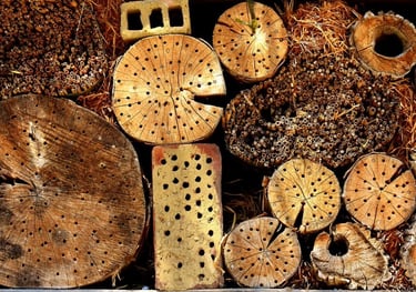 Log piles for insects