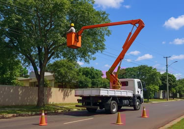 Remoção de galhos em áreas de risco