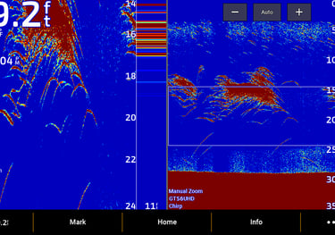 Garmin 2D sonar images of baitfish and bass