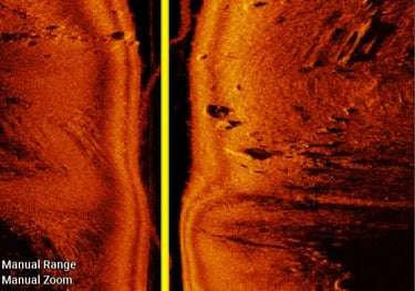 walleye sonar images on side view on Garmin sonar in lake