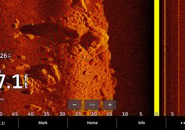 Garmin side imaging showing bass and shadow