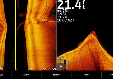 Garmin sonar images of branches and rocks on side view and down view