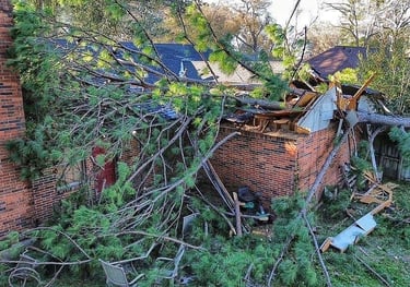 Storm knocked tree over customer's roof in Tyler, TX so we removed the tree and renovated home