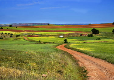 Casa rural San Carlos del Valle